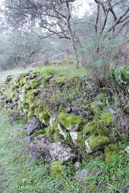 Moss covered old stone walls